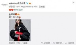 林真真最新爆料,娱乐圈背后的惊人真相