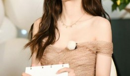 娱乐圈内爆料杨颖,揭秘明星背后的真实故事