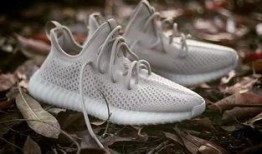 网红椰子爆料视频大全